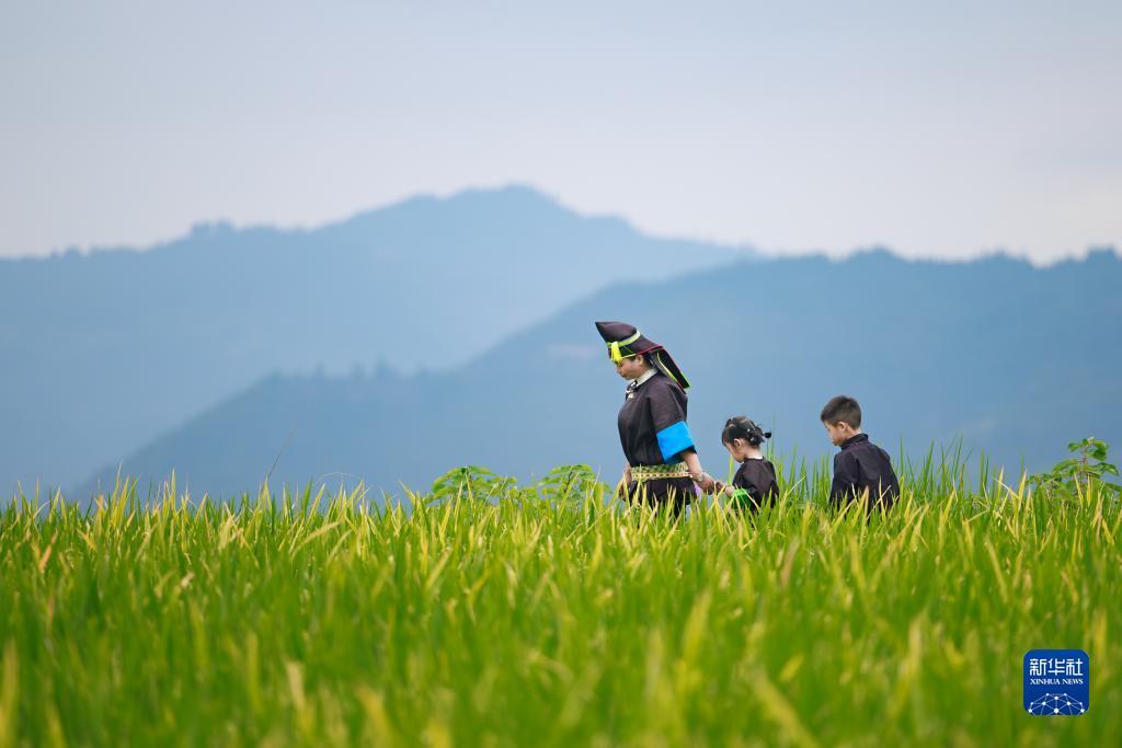 冠军8注册网址-点击进入2